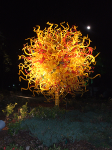 Chihuly 2012 (07).JPG